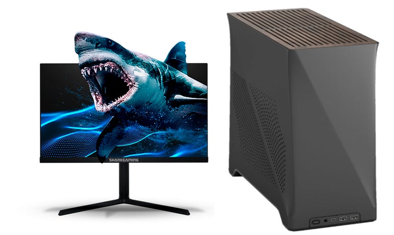 Shark