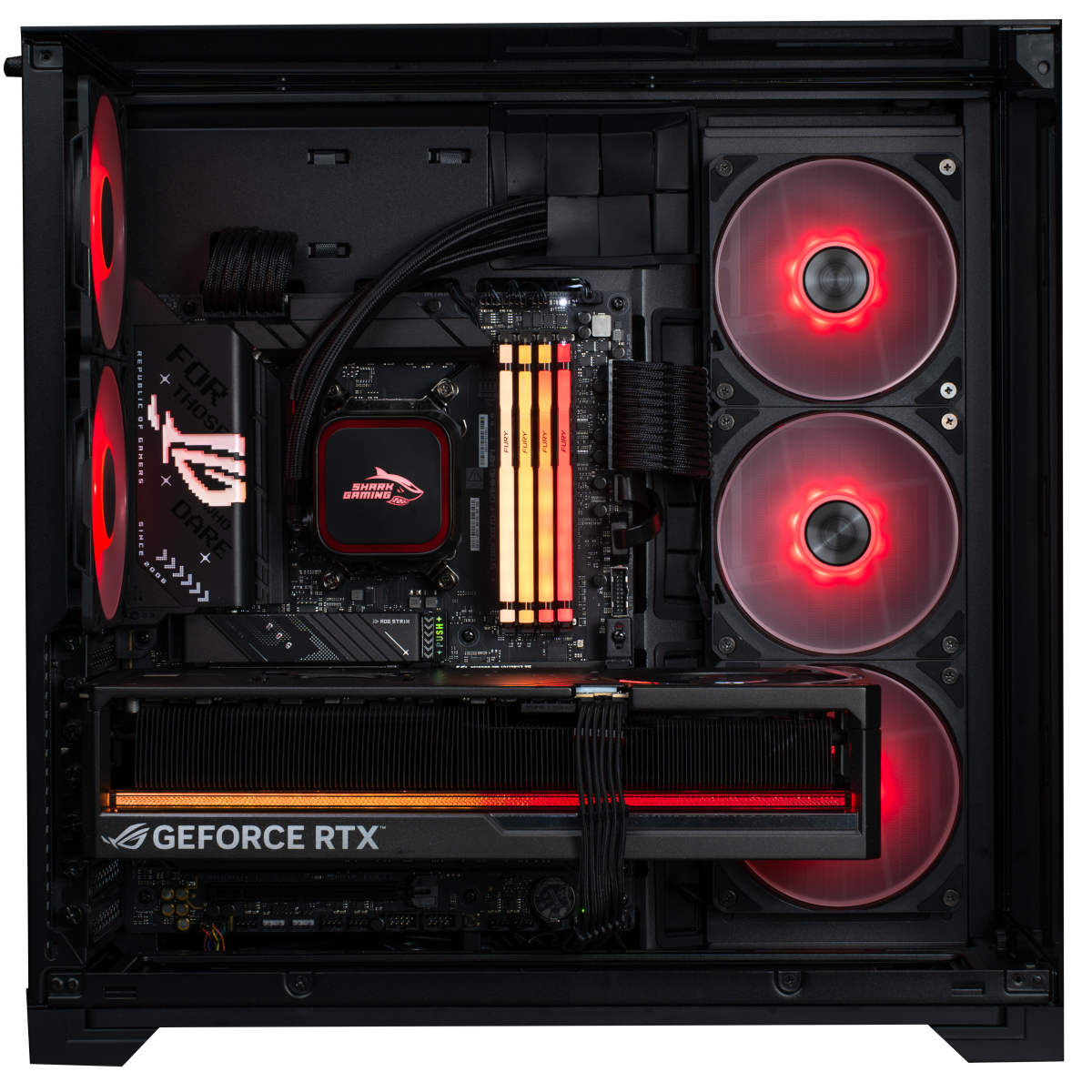 Almighty Shark Gaming PC